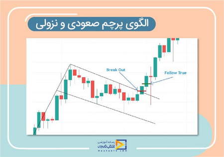 کتاب گاوها و خرس ها